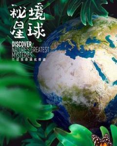 “福聚龙盘”传递民俗年味,“拎回家”“送上门”成新趋势