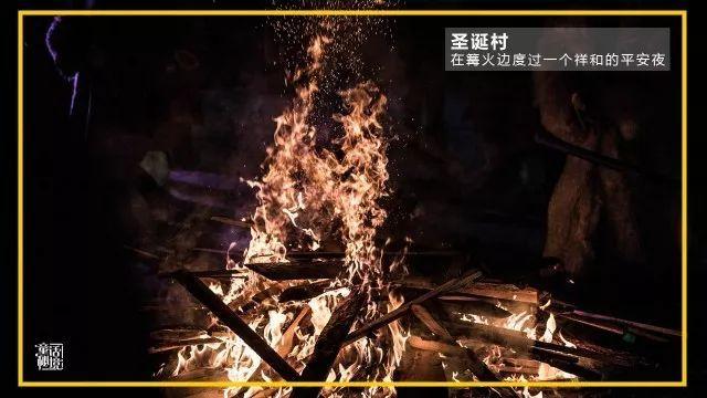 放假啦!浙大学子的寒假计划是什么?