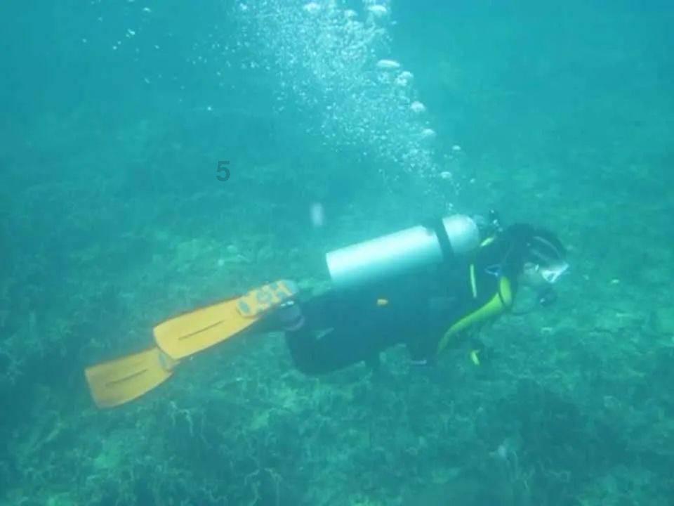 大遗址森林逃生