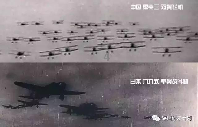 动物帮帮忙保卫家园