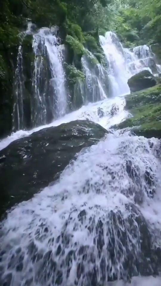 拯救可爱小鳄鱼